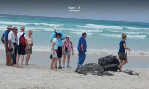 Imagen Camino a Playa Mansa