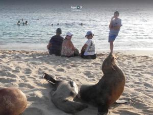 Imagen Playa Mann