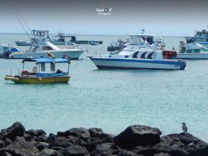 Imagen Embarcaciones