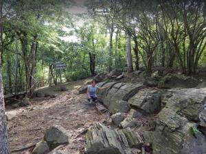 Bosque Petrificado de Puyango