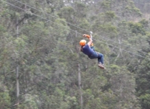 Imagen Canopy Molinuco