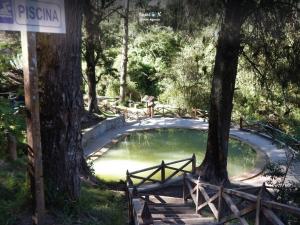 Imagen Piscina en Peguche