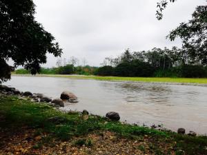 Imagen Río Blanco