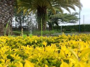 Imagen Parque