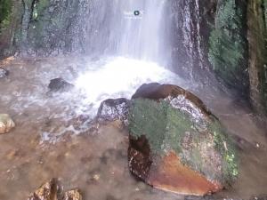 Imagen Caída de agua