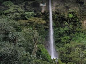 Imagen Primer mirador