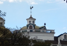 Imagen Gallito de la Catedral