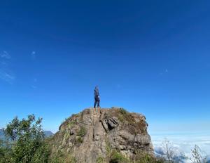 Imagen Contemplando el paisaje