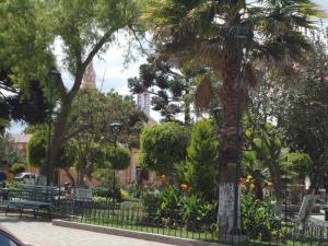Imagen Iglesia