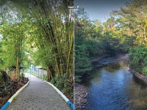 Imagen Paseo turístico del río Puyo