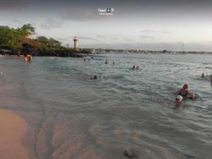 Imagen Nada en Playa Mann