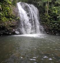 Imagen Cascadas