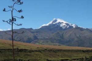 Imagen Volcan Cayambe