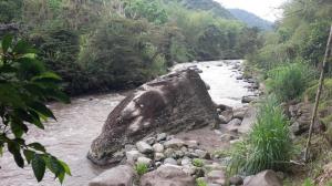 Imagen Piedra Yumba en Nanegal