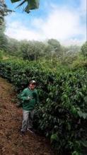Tour del Café