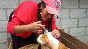 Imagen Productores de parroquia Quingeo