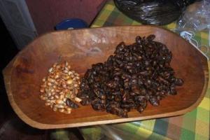 Imagen Gastronomía