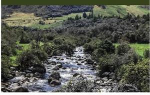 Imagen Río Yanuncay