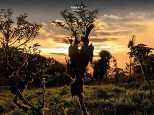 Imagen Atardecer en Alluriquín