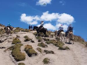 Imagen Cabalgata