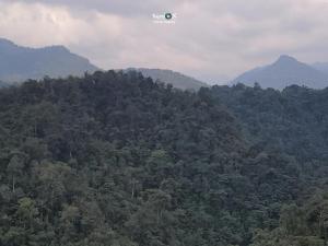 Imagen Bosque Mindo Nambillo