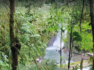Imagen Cascada y vegetación