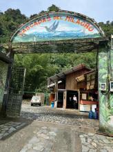 Imagen Entrada