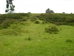 Imagen Complejo Arqueológico