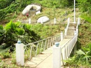 Imagen Gruta Familia Pinos