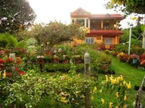 Imagen Flores ornamentales