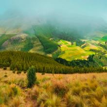 Imagen Páramo Zuleta