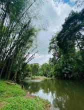 Imagen Balneario San Camilo