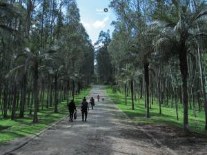 Parque Metropolitano Sur