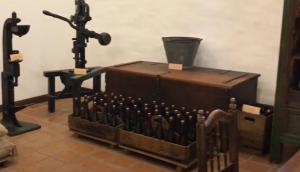 Cerveza