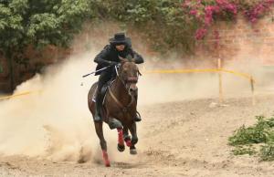Imagen Cacería del Zorro