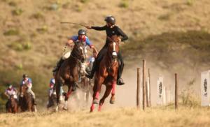 Cacería del Zorro
