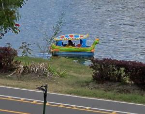 Imagen Paseo en bote