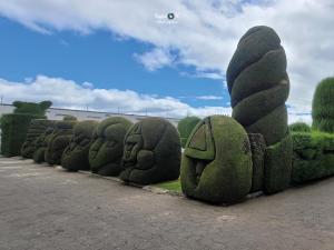 Imagen Arte Verde