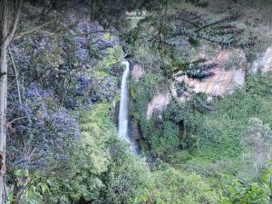 Imagen Naturaleza