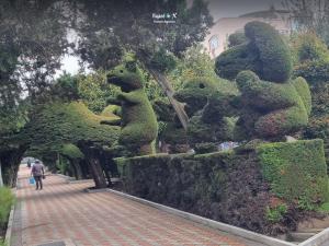 Imagen Figuras de animales
