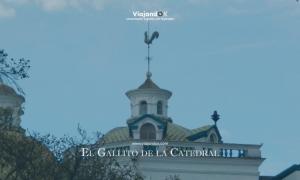 Imagen Gallito de la Catedral