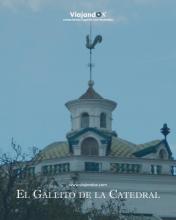 Imagen Gallito de la Catedral