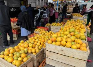 Imagen Mangos