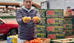 Imagen Tomate riñon