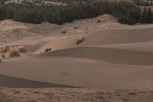 Imagen Desierto de Palmira