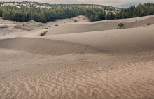Imagen Desierto de Palmira
