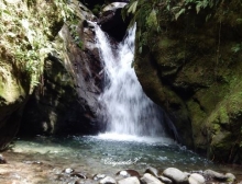 Imagen Cascada Colibríes