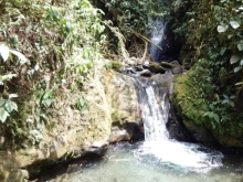 Imagen Cascada Madre