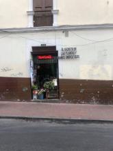 Imagen El Secreto de las Plantas