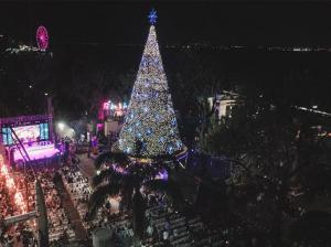 Imagen Árbol de Navidad